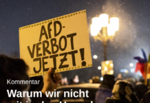 Warum wir nicht mit in das Horn des AfD-Verbots stoßen