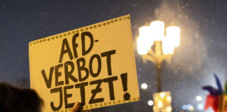 Warum wir nicht mit in das Horn des AfD-Verbots stoßen